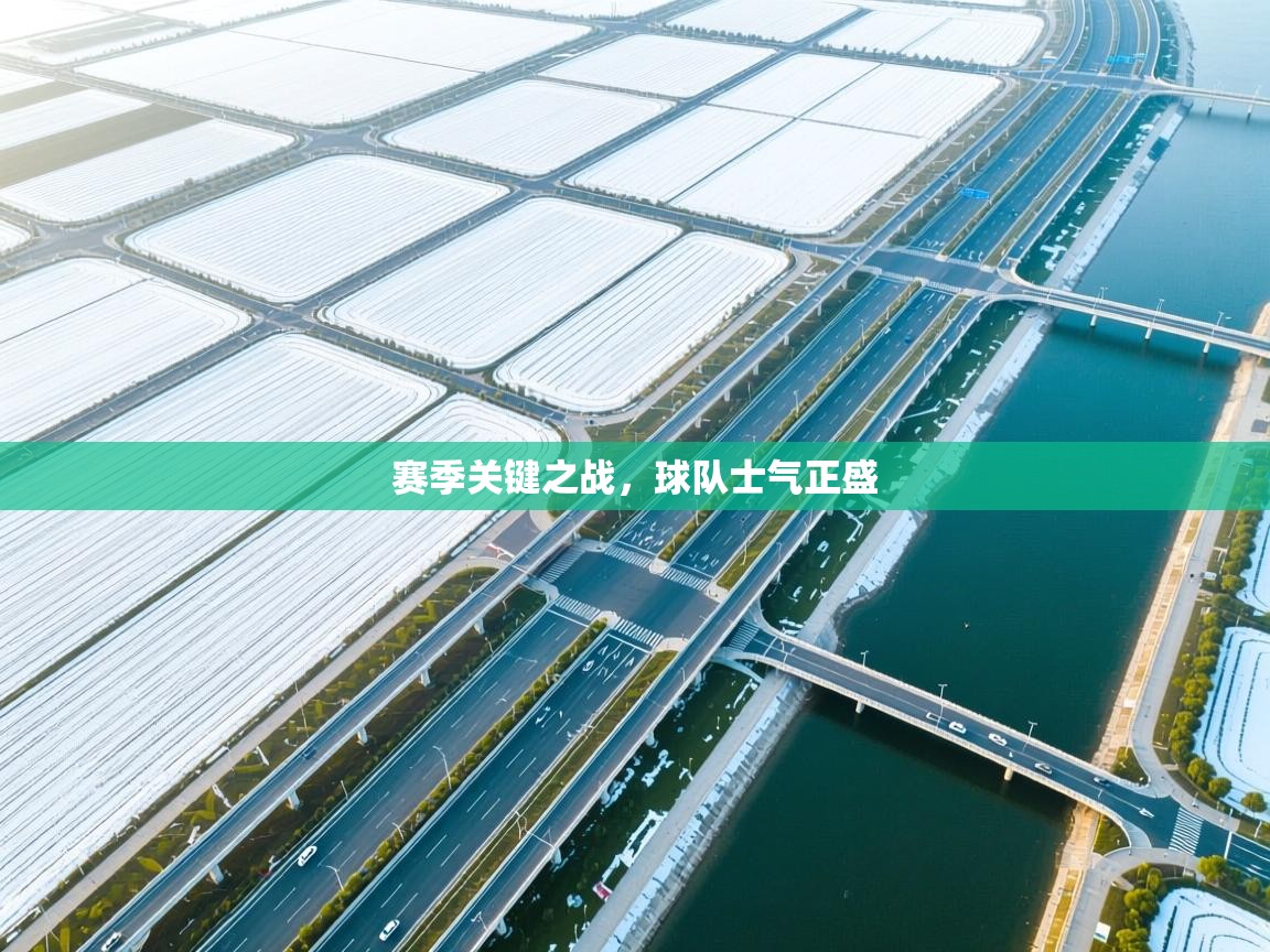 赛季关键之战，球队士气正盛  第1张